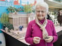 一位93岁高龄的曾曾祖母曾因织毛衣而获得大英帝国奖章(BEM)，后来她用羊毛织出了一座6英尺高的巨大白金汉宫。